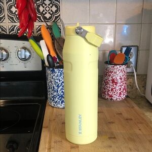Stanley Lemon Water Bottle